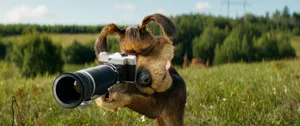 Кадр из фильма 1